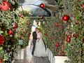 003A MATRIMONIO NATALE  ATMOSFERA SARDEGNA CAGLIARI 